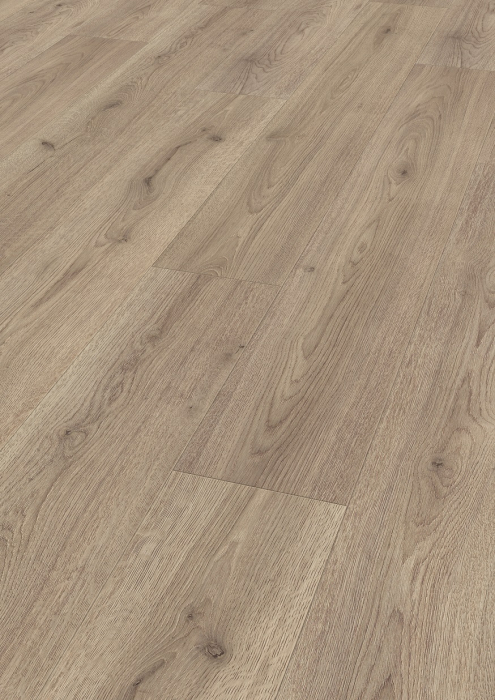 Trend Eiche Grau