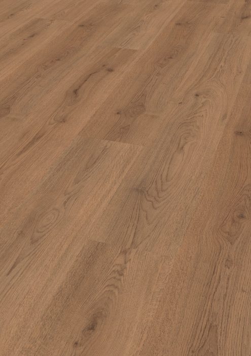 Trend Eiche Natur